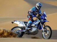yamaha_wr450f_shamrock.jpg