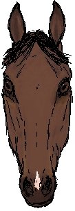s.jpg