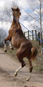 DSCN5113.jpg