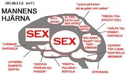 manshjarna.jpg