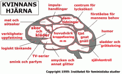 kvinnohjarna.gif