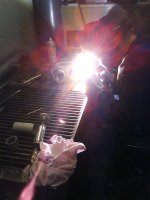 tig-ple.jpg