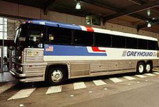 430432.JPG