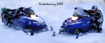 vintertr.jpg