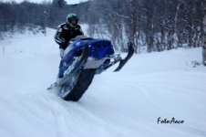 Wheelie Love.jpg