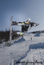 Brädhopp Fredrik.jpg