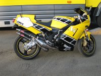 IMG_1029 hp.jpg