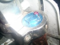 S4020891.JPG