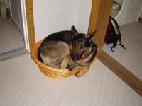 DSC01657 (Medium).JPG