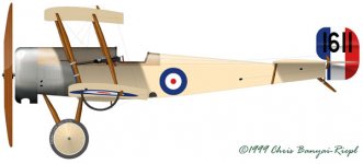 scout-1611.jpg