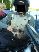 Hund.JPG