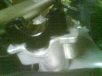 DSC00341.jpg