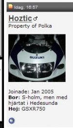 Hoztic_utloggad.JPG