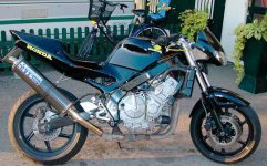 CBR600Streetfighter-008.jpg