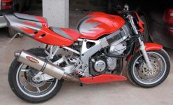 dkostoviccbr900.jpg