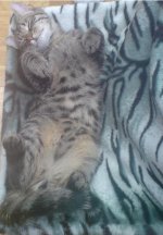 DSC00442.JPG