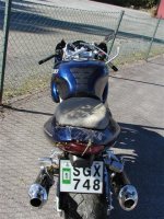 p9141184 (small).jpg