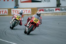 146-0012-win-08-zoom.jpg