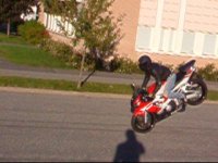holge stoppie.jpg