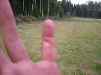 xfingerrape.jpg