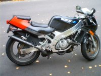 rgv250 6.jpg