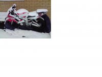 snow.JPG