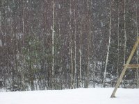 IMGP0022.JPG