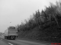 DSC00041.JPG