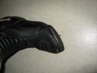 IMG_1769.jpg