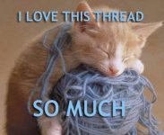 lolcatsdotcoms3kwbhne1tnopgui.jpg