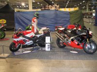 IMG_2167 hp.jpg