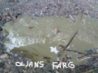 DSC00043.JPG