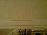 DSC00177.JPG