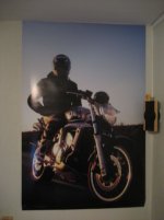 fz.jpg