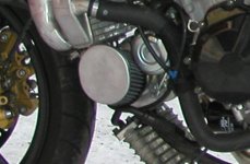 P1010003.JPG