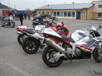 IMG_2279 hp.jpg