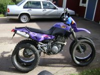 Bild 203.jpg