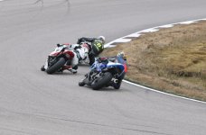 IMG_4397.jpg