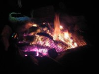 IMG_0168.jpg