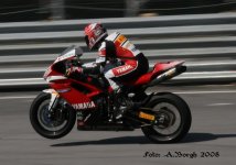 IMG_2320.jpg