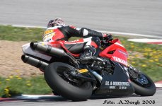 IMG_2401.jpg