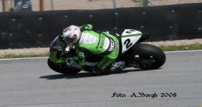 IMG_2447.jpg