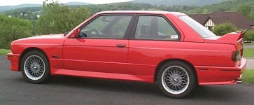 faux_evo.jpg
