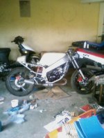 SP_A0116.jpg
