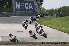 IMG_2868.jpg