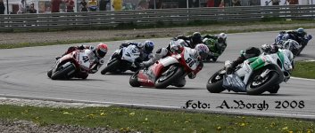 IMG_2876.jpg