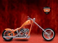 orange_rigid_hr_rt.jpg