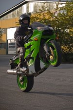 DSC_8669.jpg