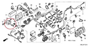 Wire Harness CBR1000RR0405.jpg