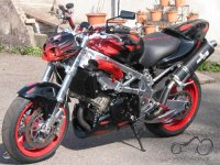 exhaust2.jpg
